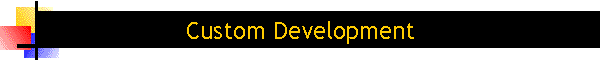 Custom Development